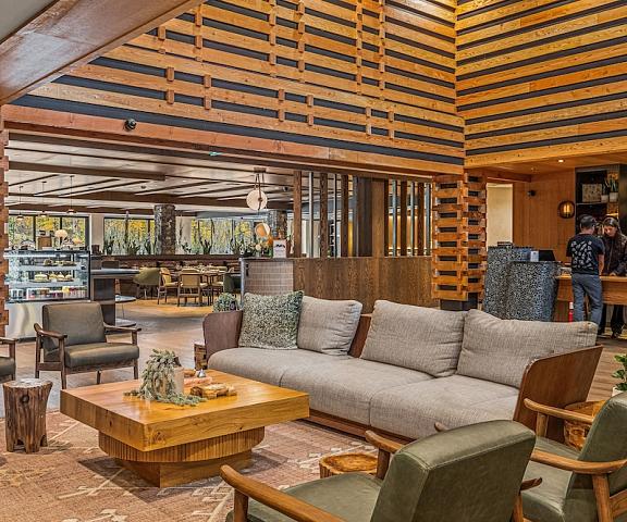 MTN House By Basecamp Alberta Canmore Lobby