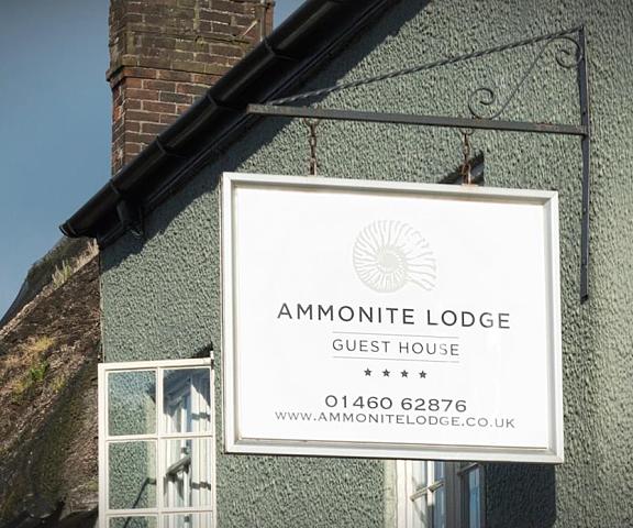 Ammonite Lodge Guest House England Chard Exterior Detail
