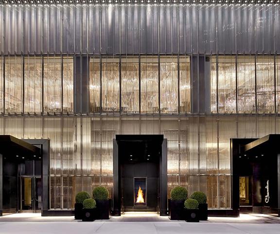 Baccarat Hotel and Residences New York New York New York Exterior Detail