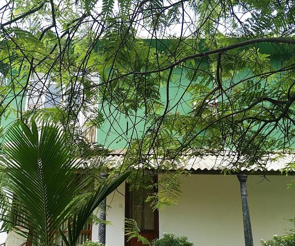 Mihini hotel Anuradhapura District Habarana Facade
