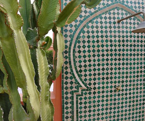 Riad Palacio de las Especias null Marrakech Exterior Detail