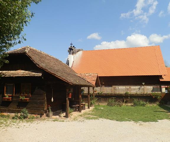 Tradicije Čigoč Sisak-Moslavina (county) Sisak Facade
