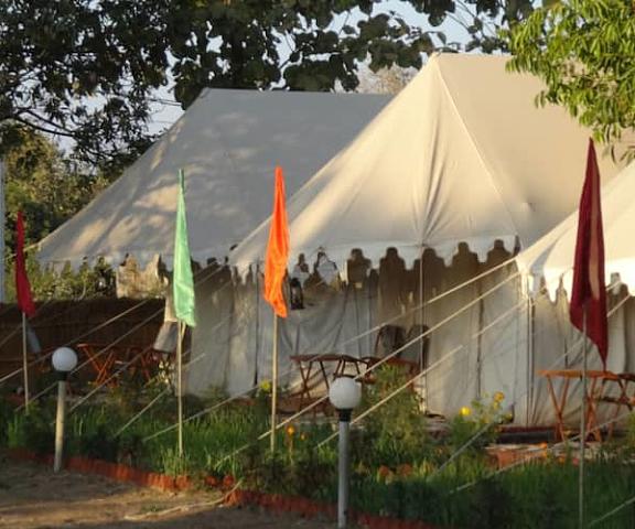 Royal Pushkar Camps Rajasthan Pushkar Camp