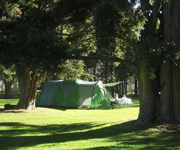 Greytown Campground Wellington Region Greytown Property Grounds