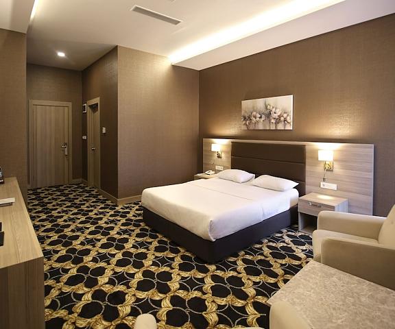 Hotel Excellence Inn Ankara (and vicinity) Ankara Room
