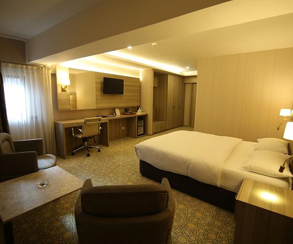 Hotel Excellence Inn Ankara (and vicinity) Ankara Room