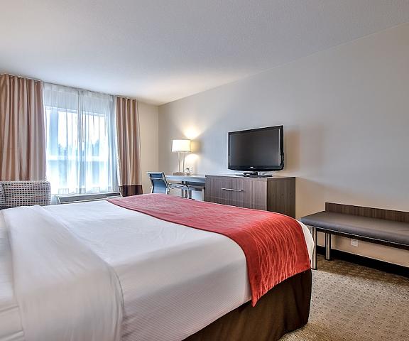 Comfort Inn And Suites South Alberta Calgary Room