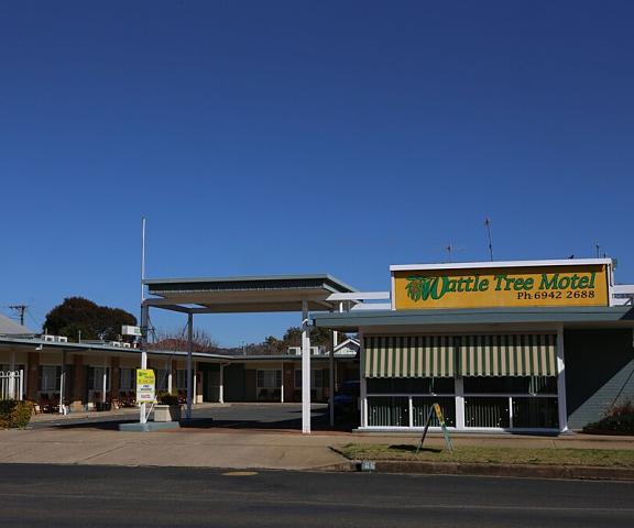 Wattle Tree Motel New South Wales Cootamundra Courtyard