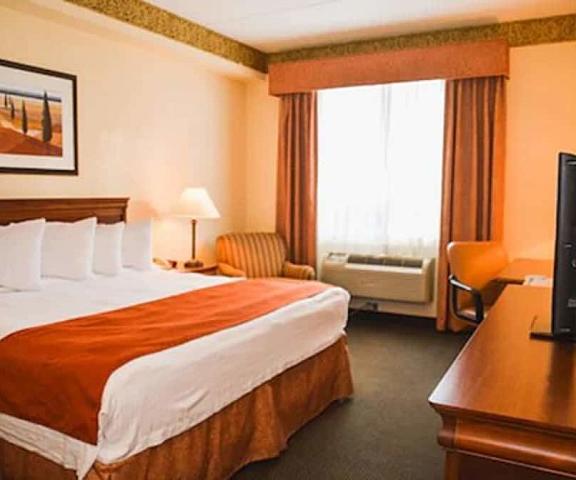 Country Inn & Suites by Radisson, London South, ON Ontario London Room