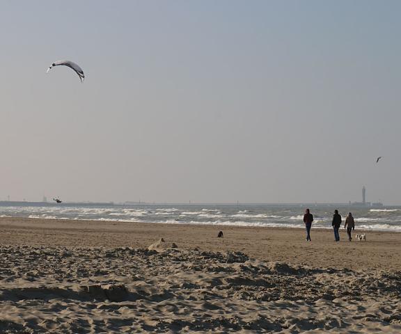 Le Transat Bleu Hauts-de-France Dunkerque Beach