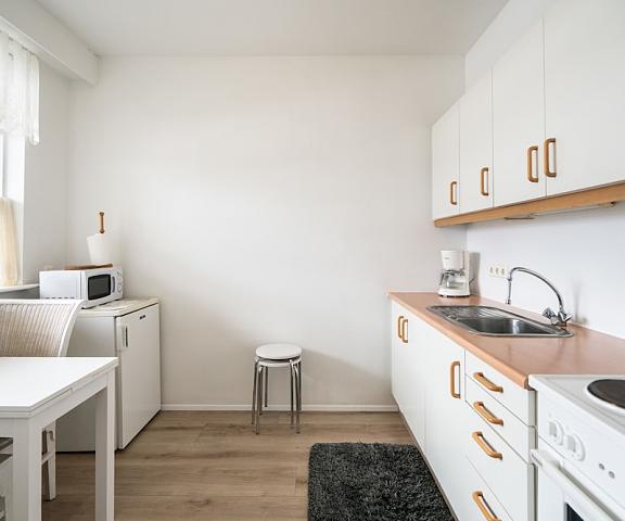 River Apartments South Iceland Selfoss Kitchen
