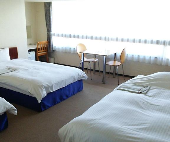 Hotel Town Center Kochi (prefecture) Kochi Room