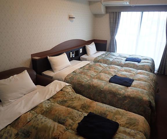 Castle Inn Komaki Aichi (prefecture) Komaki Room