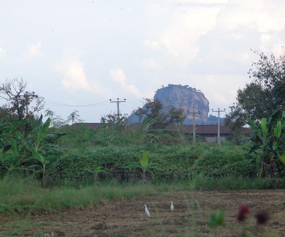 Sigiriya vista Central Province Sigiriya Primary image