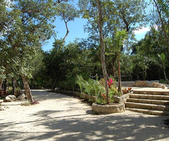 Reserva Ecologica Hacienda Cancun Quintana Roo Cancun Exterior Detail