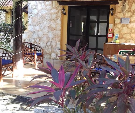 Villa Tortugas Quintana Roo Akumal Reception