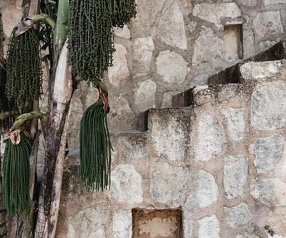 Coqui Coqui Papholchac Coba Residence & Spa Quintana Roo Coba Exterior Detail