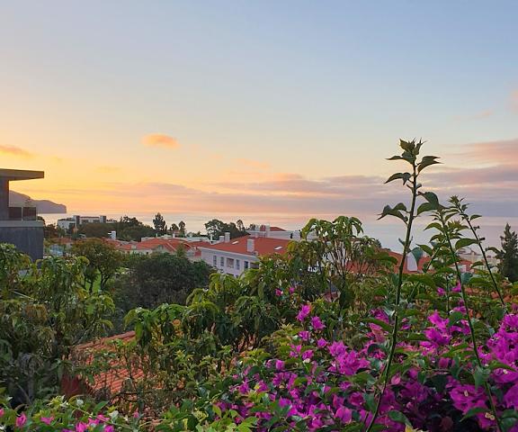 Vila Lusitânia Madeira Funchal View from Property