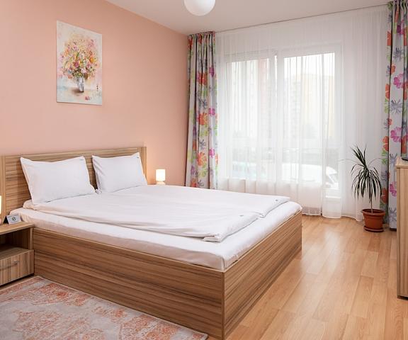 Brasov Holiday Apartments null Brasov Room