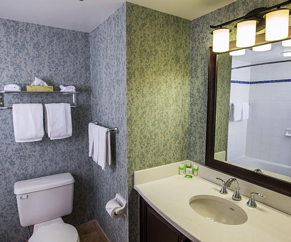 Holiday Inn Express and Suites Tremblant, an IHG Hotel Quebec Mont-Tremblant Bathroom