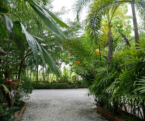 Baan Suan Palm Resort Uttaradit uttaradit View from Property