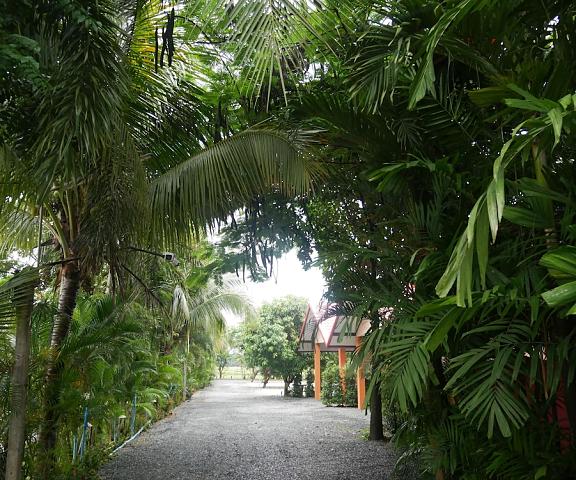 Baan Suan Palm Resort Uttaradit uttaradit View from Property