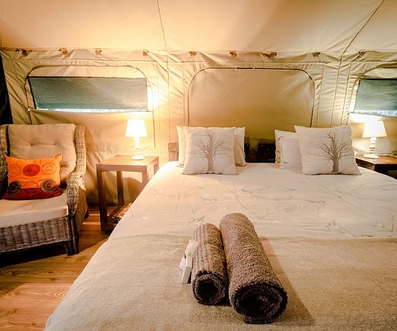 Bundox Safari Lodge Limpopo Hoedspruit Room