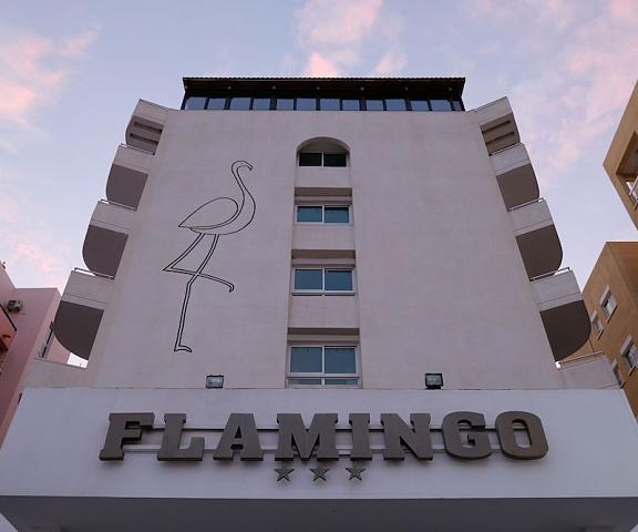 Flamingo Beach Hotel Larnaca District Larnaca Exterior Detail