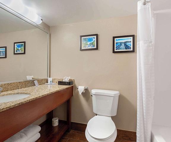 Comfort Inn & Suites Delaware Milford Room