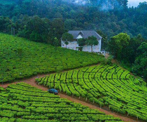 Tea Harvester Kerala Munnar Hotel View