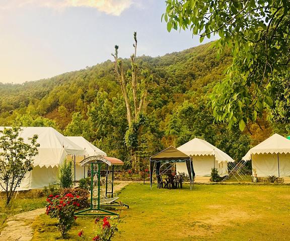 Tatva Bir Tents and Hotel Himachal Pradesh Baijnath Room