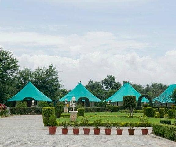 Balaram Palace Resort Gujarat Palanpur tent