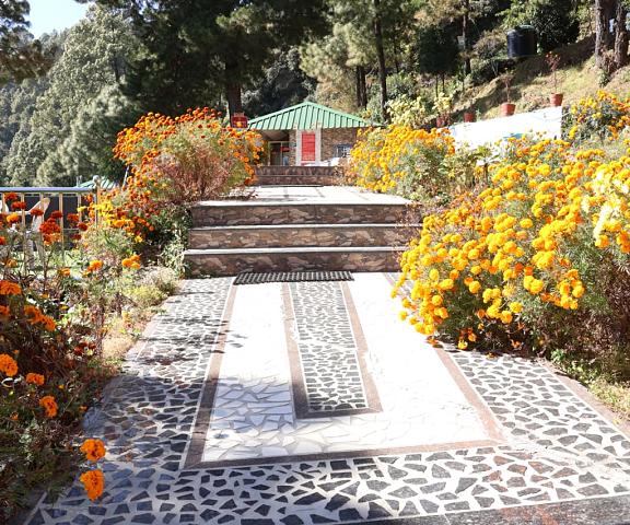 Blue Pine Resort Uttaranchal Lansdowne Outdoors