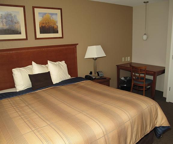 Candlewood Suites Elgin, an IHG Hotel Illinois Elgin Room