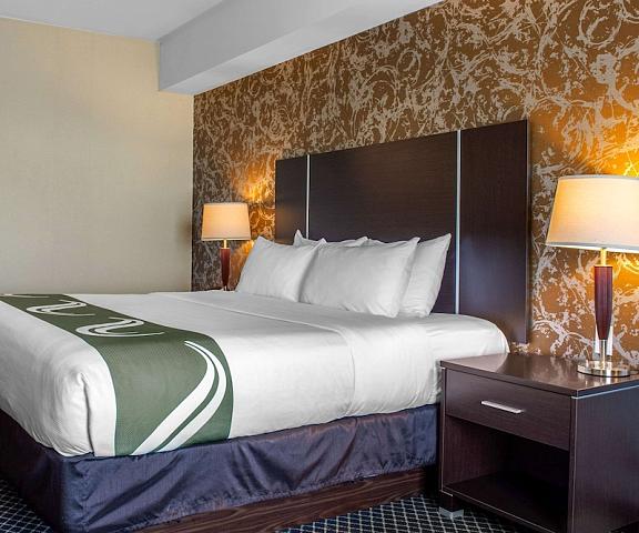 Quality Inn and Suites Petawawa Ontario Petawawa Room