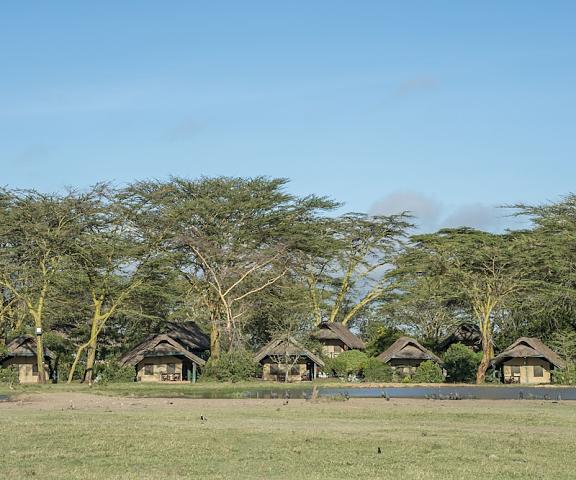 Sweetwaters Serena Camp null Nanyuki Land View from Property
