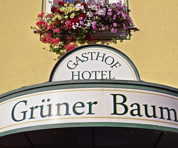 Hotel & Gasthof Grüner Baum Bavaria Naila Exterior Detail