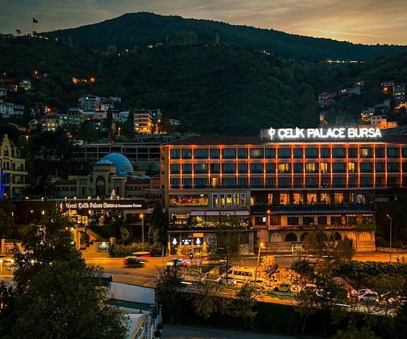 Celik Palace Hotel Convention Center & Thermal SPA null Bursa Exterior Detail