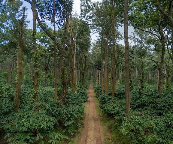 Ama Plantation Trails , Chikmagalur Karnataka Chikmaglur Property Grounds