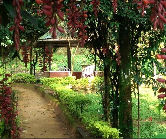 Glenmore Resort Kerala Munnar 1001