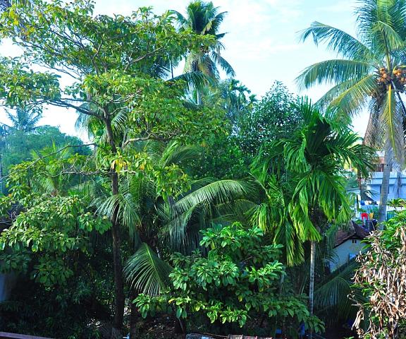 Honolulu Home Kerala Kochi Property Grounds