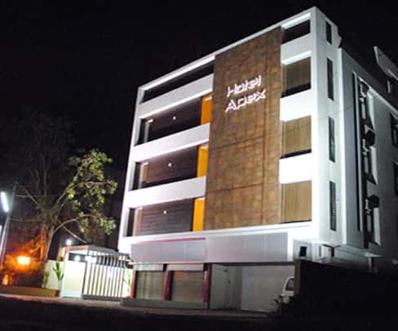 Hotel Apex Gujarat Ankleshwar View from Property