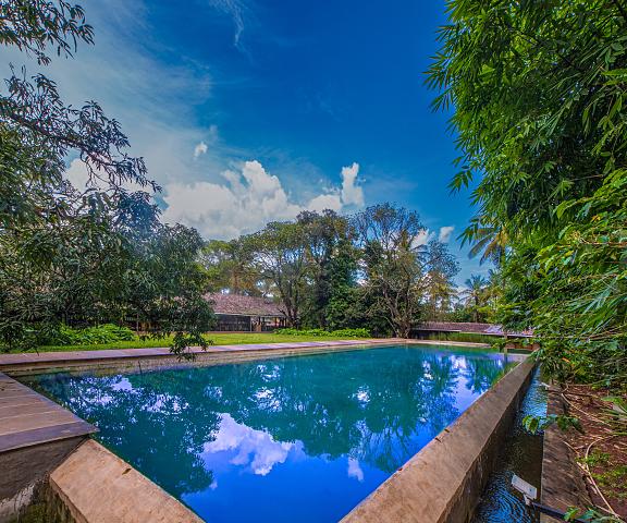 The Orchard Resort Karnataka Belgaum Pool