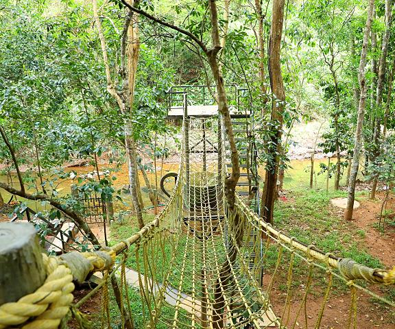 Jungle Beats Resort Kerala Wayanad Hotel View