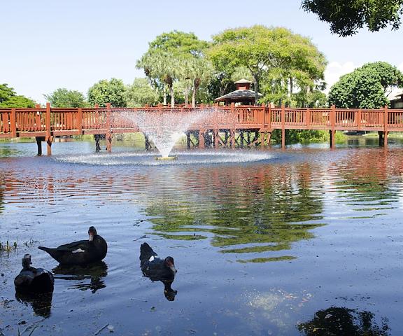 Park Shore Resort Florida Naples Property Grounds
