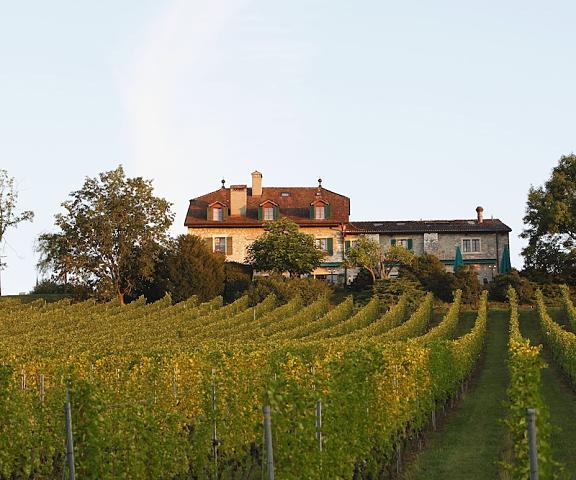 Domaine De Chateauvieux Canton of Geneva Satigny View from Property