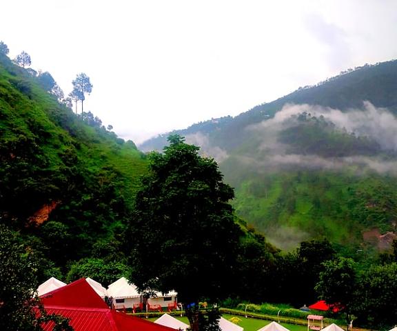 Niyama Jungle Resort Chail Hills Himachal Pradesh Chail Property