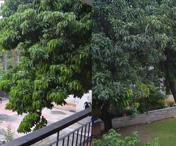 Hotel Stay At Green View Uttaranchal Dehradun Balcony  view