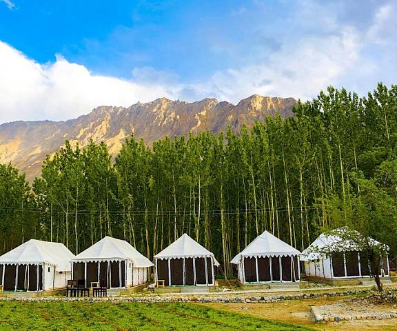 Ladakh Tarrain Camp Jammu and Kashmir Leh Primary image