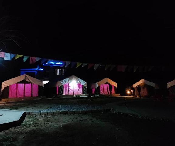 Nubra Delight Camp Jammu and Kashmir Leh Hotel Exterior